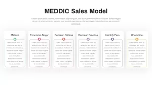 meddic-sales-model