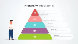 Hierarchy Infographic