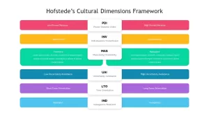 hofstede&#039;s framework