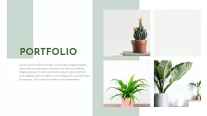 portfolio-powerpoint-template