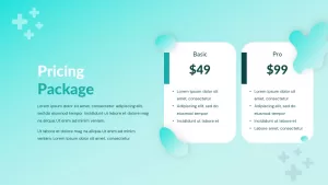 pricing-package-ppt-slide