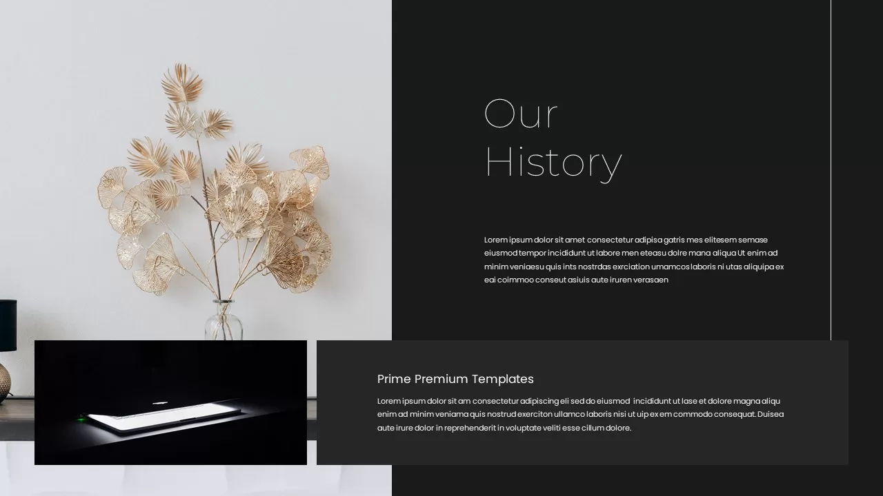 prime-presentation-template13