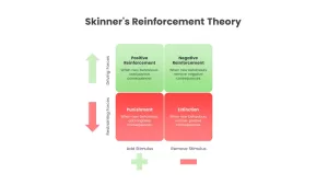 Skinner&#039;s Reinforcement Theory ppt slide