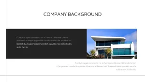 company backgrouond sales powerpoint template