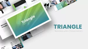 Triangle Marketing Plan