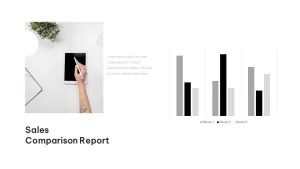 sales comparison report template