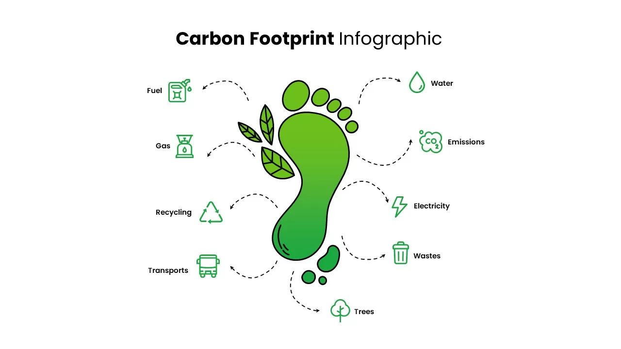 carbon footprint infographic