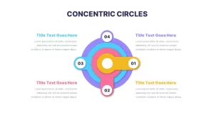 4 Layer Concentric Circles Infographics