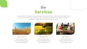 Farm PowerPoint template services