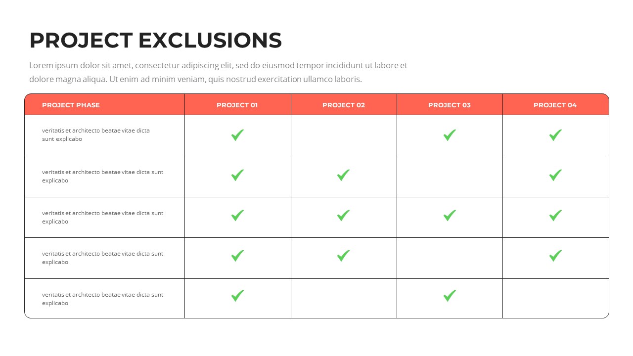 Project Exclusions Presentation Template