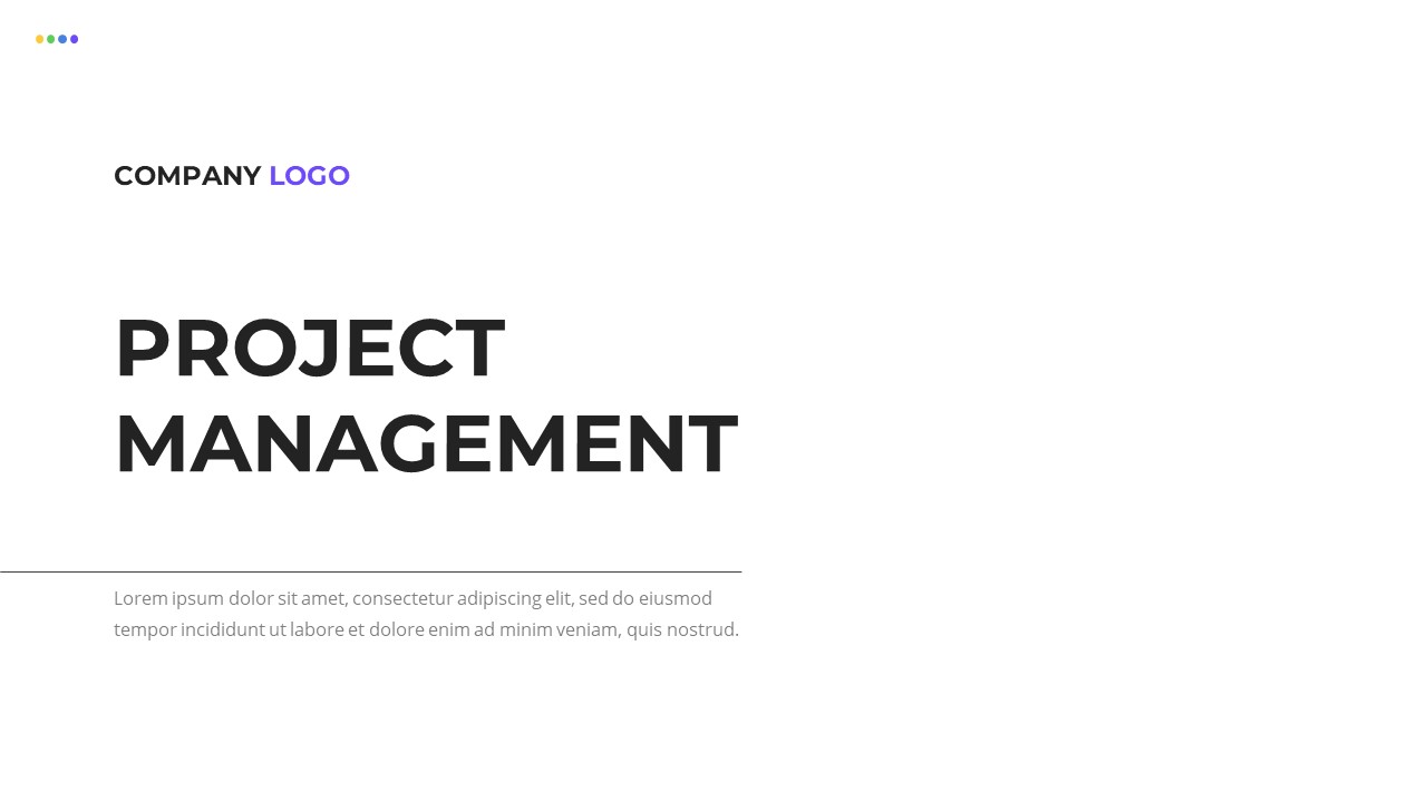 Project Management Presentation Template2