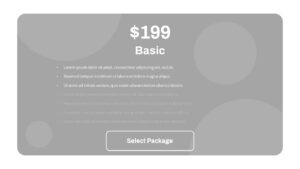 basic pricing plan ppt