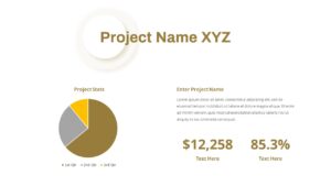 project infographics