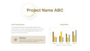 project infographics ppt slide