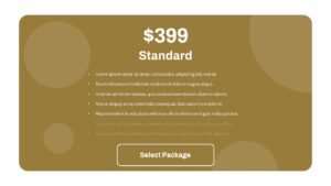 standard pricing plans slide