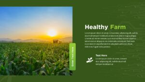 Farming Tech PowerPoint Template13