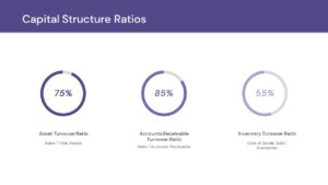 capital structure ratio ppt template