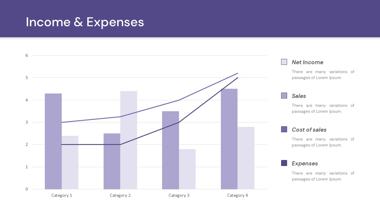 income and expenses ppt slide