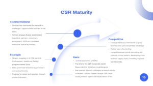 CSR maturity Presentation Template