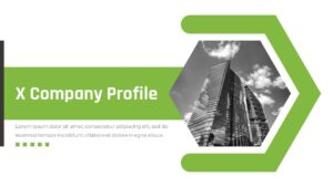 Free Company Profile PPT Template