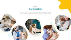 VET-Clinic-PowerPoint-Template-Gallery