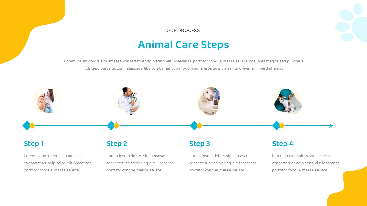 VET-Clinic-PowerPoint-Template-Process