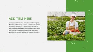 Farm-PowerPoint-Theme-Text