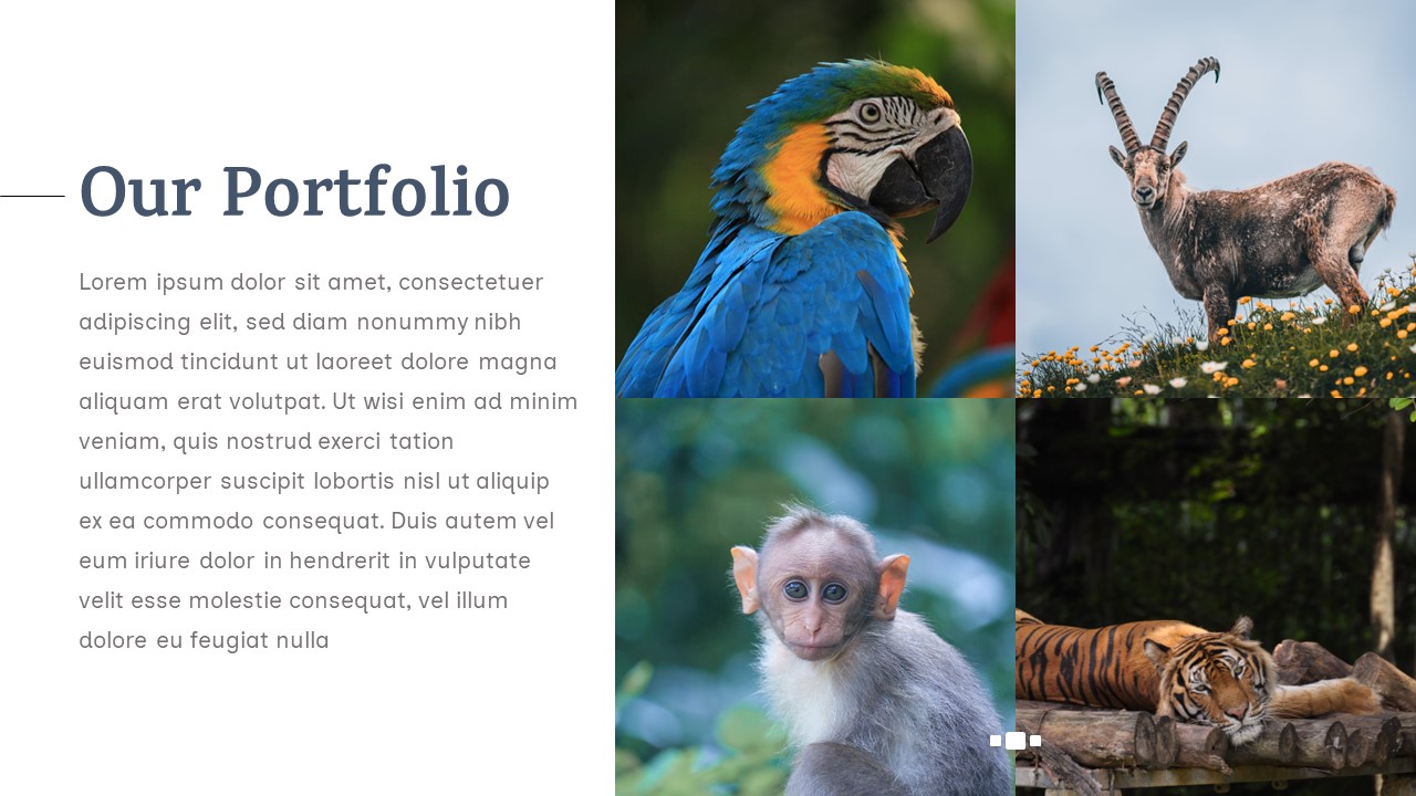 Nature-PowerPoint-Presentation-Template-Portfolio