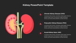 Kidney PowerPoint Presentation Template with Black Background