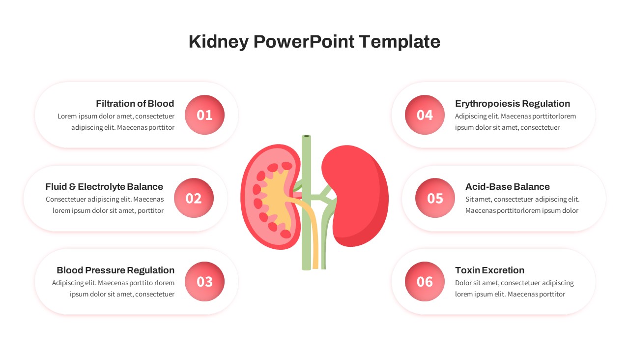 Kidney PowerPoint Presentation Template