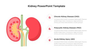 Kidney PowerPoint Template