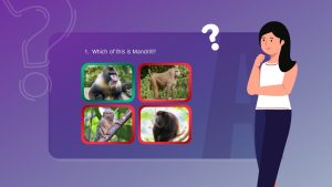 Free Interactive PowerPoint Quiz Template Identify The Image Slide