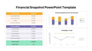 Financial Snapshot PowerPoint Template