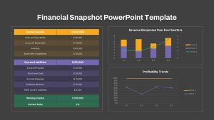 Financial Snapshot Presentation Template