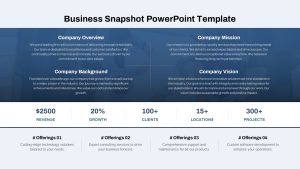 Business Snapshot PowerPoint Template