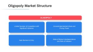 Oligopoly Market Structure PPT Slide