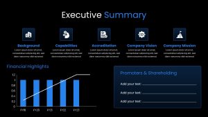 Budget Presentation Template summary slide