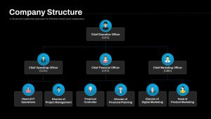 Company Structure Presentation Slide