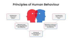 Principles of Human Behavior PowerPoint Template