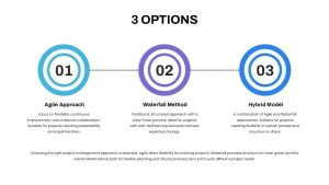 3 Options Circle Presentation Slide