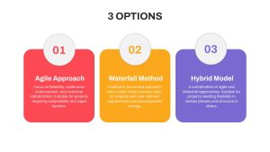 3 Options Presentation Slide