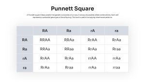 Punnett Square PowerPoint Template featured image