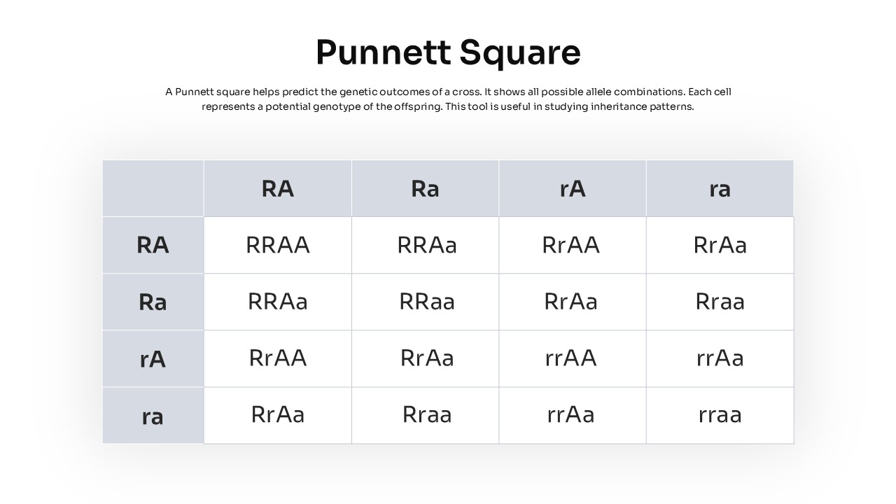 Punnett Square PowerPoint Template