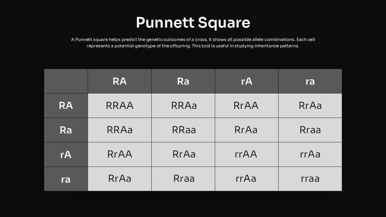 Punnett Square PowerPoint Templates