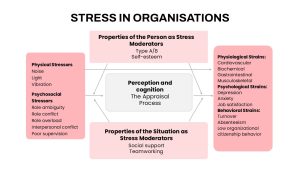 Stress in Organisations Process Presentation Slide