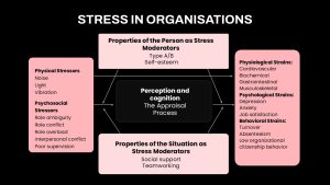 Stress in Organisations Process Presentation Template