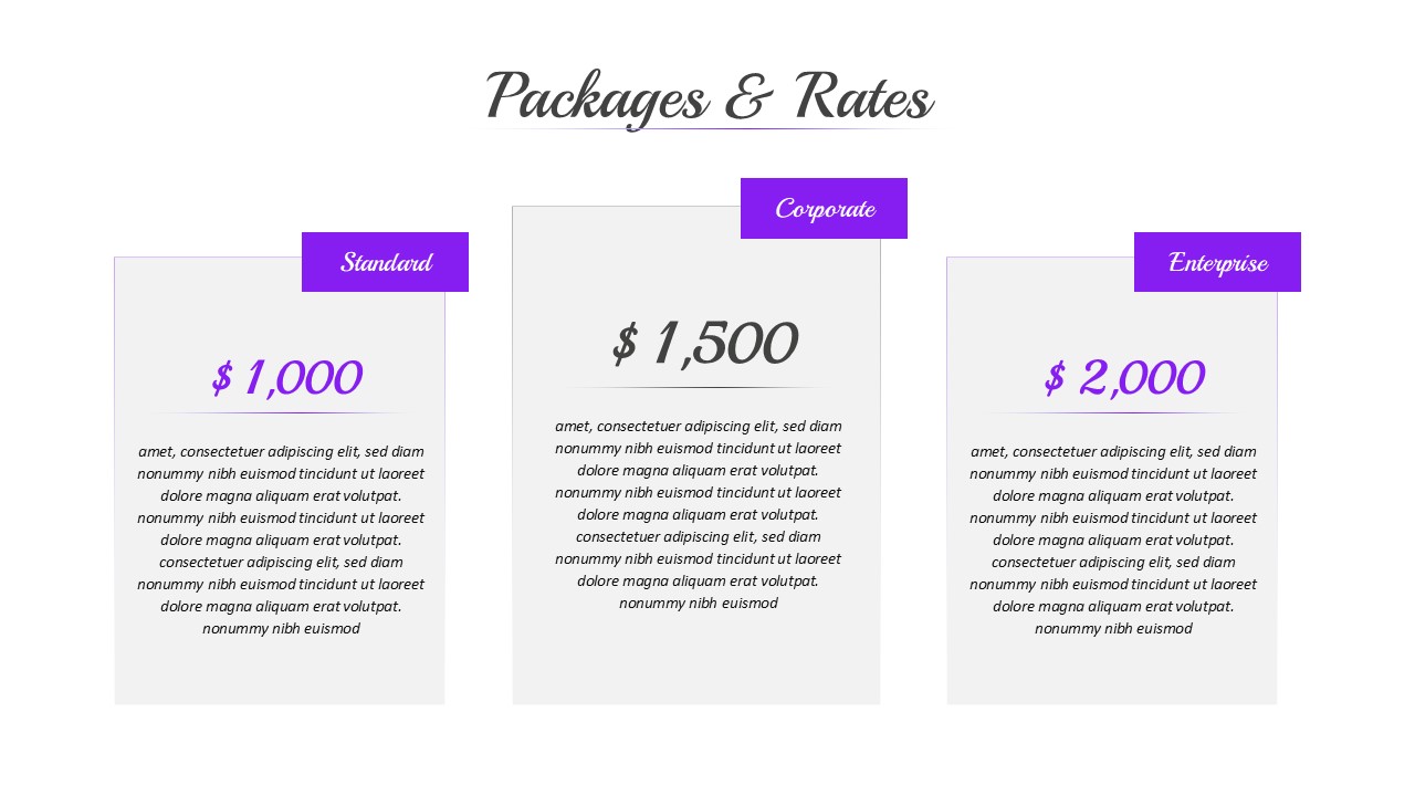 UGC Portfolio PowerPoint Template Pricing Packages