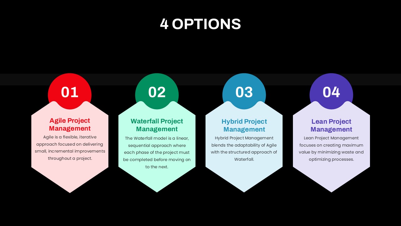 4 Options Education Presentation Slide
