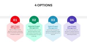 4 Options Education Presentation Template