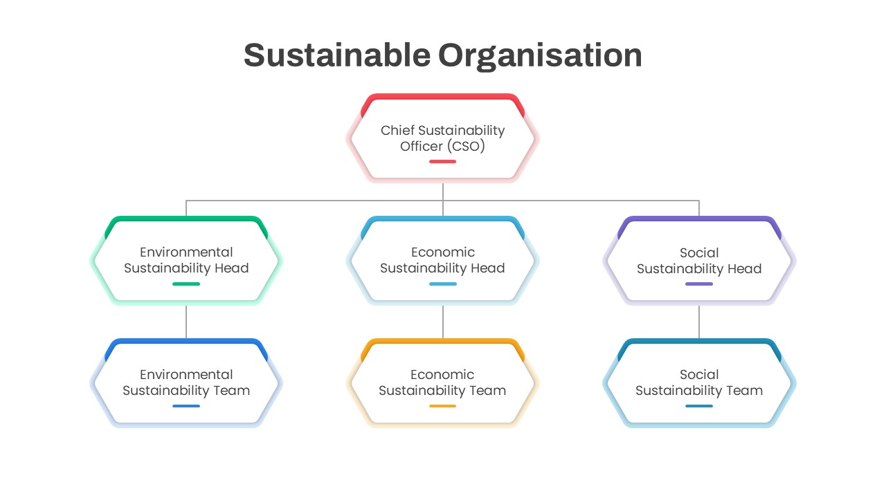 Sustainable Organisation Presentation Slide